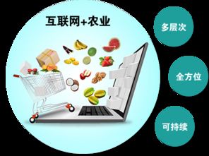 農(nóng)產(chǎn)品觸網(wǎng) 互聯(lián)網(wǎng)時(shí)代，誰是下一個(gè)超級(jí)代言人？